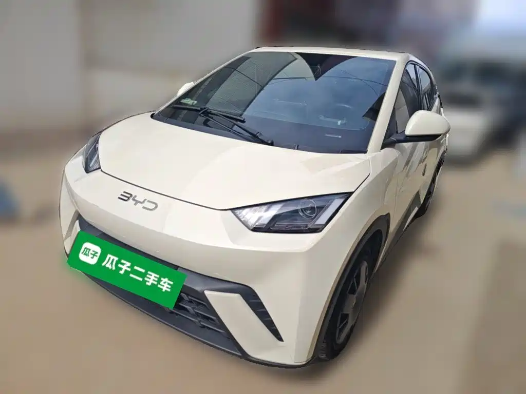 BYD Seagull 2024
