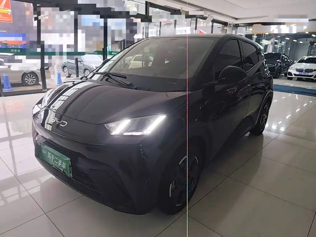 BYD Seagull 2024