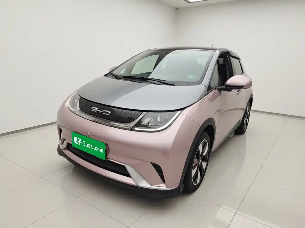 BYD Dolphin 2022