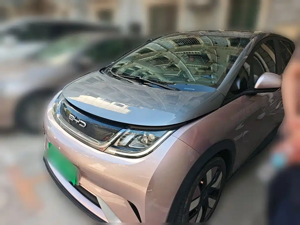 BYD Dolphin 2022