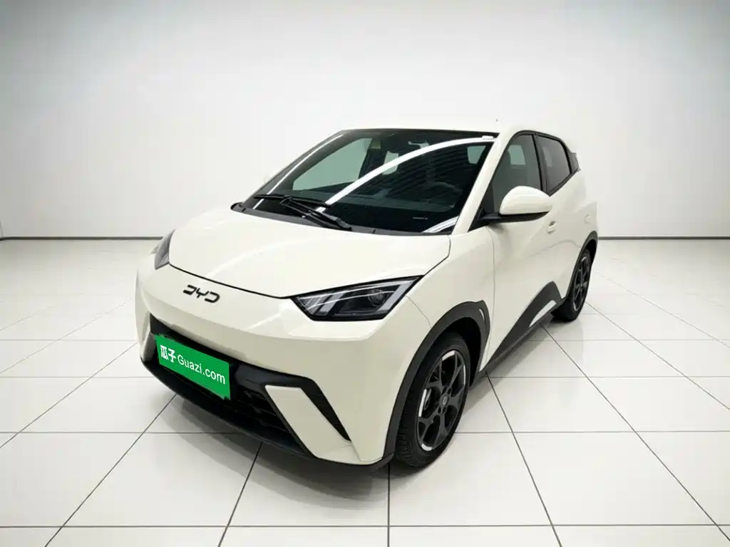 BYD Seagull 2025
