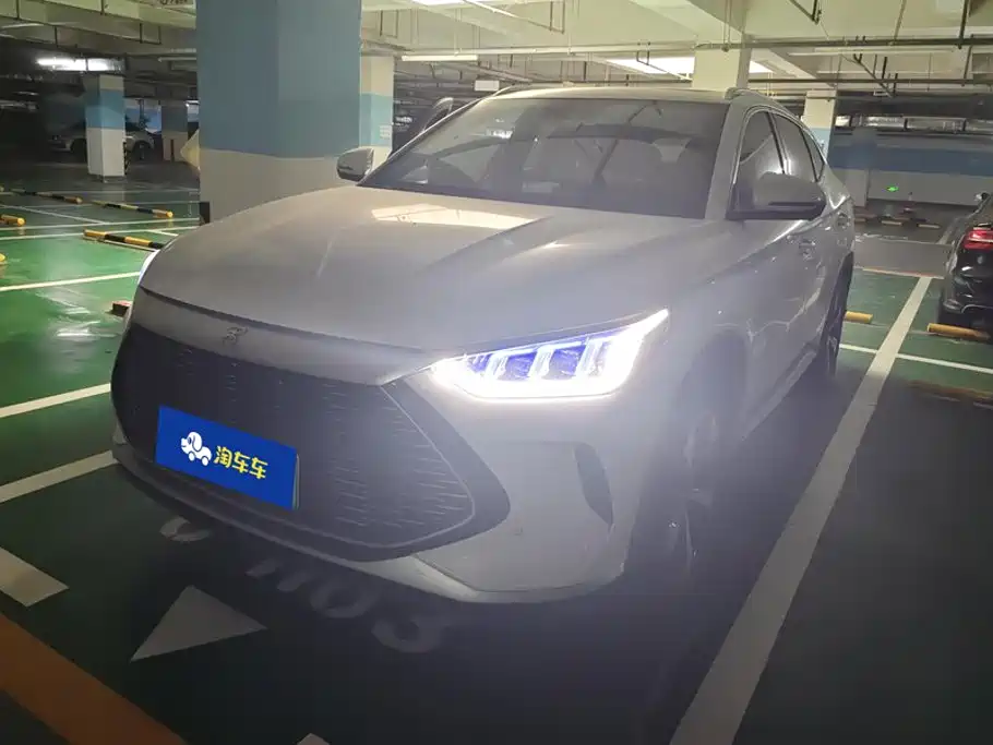 BYD PLUS New Energy 2022