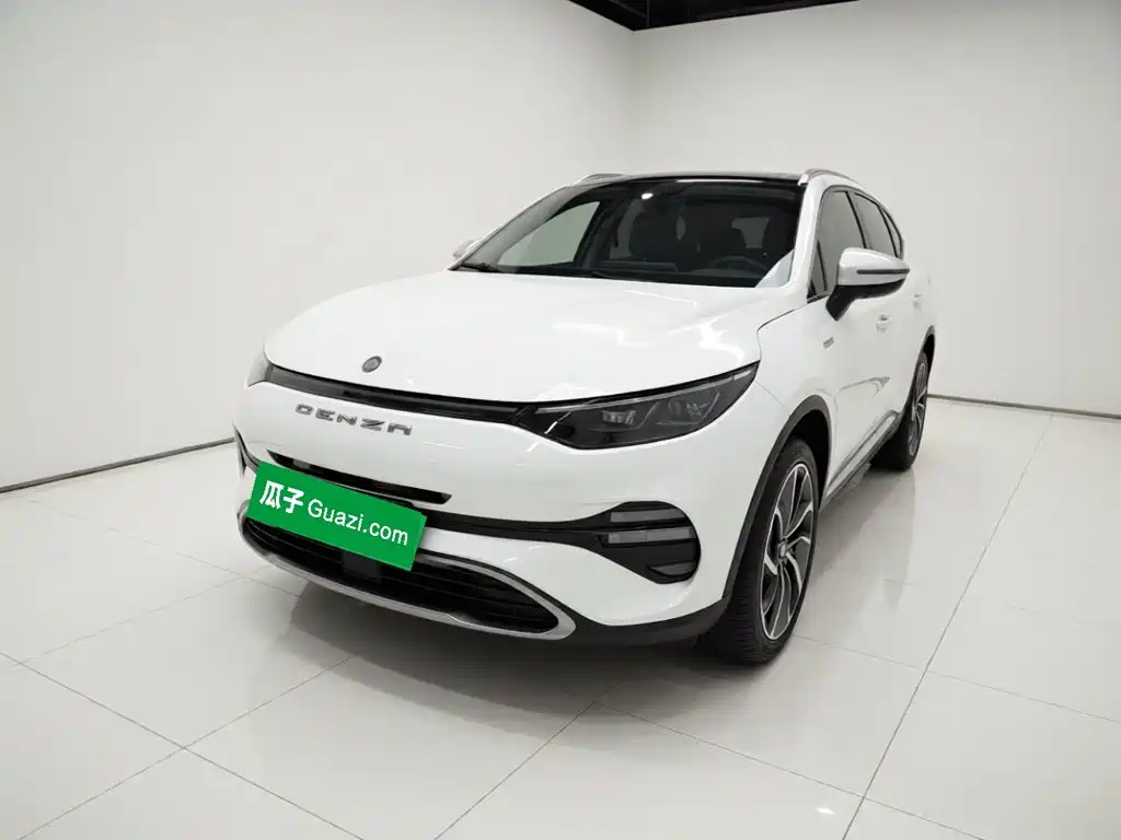 Denza Denza X 2020