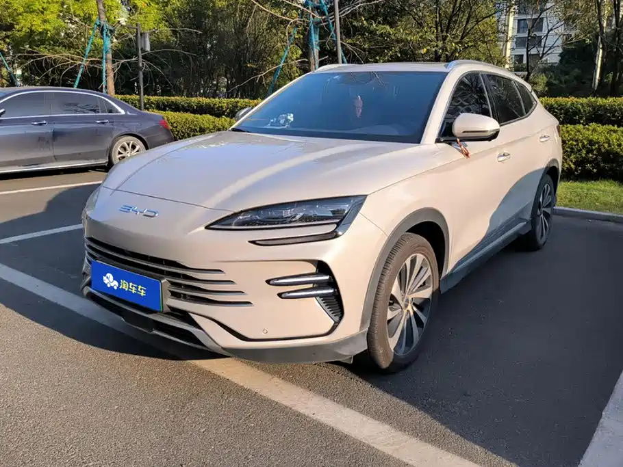 BYD PLUS New Energy 2023
