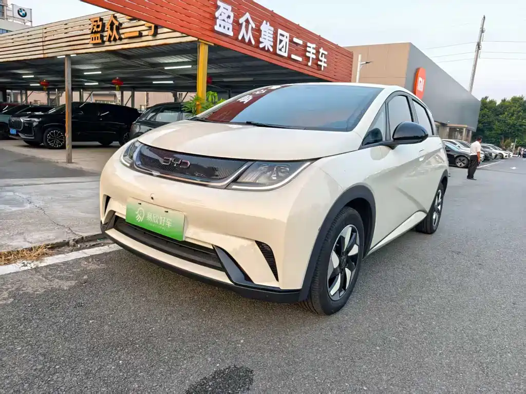 BYD Dolphin 2024