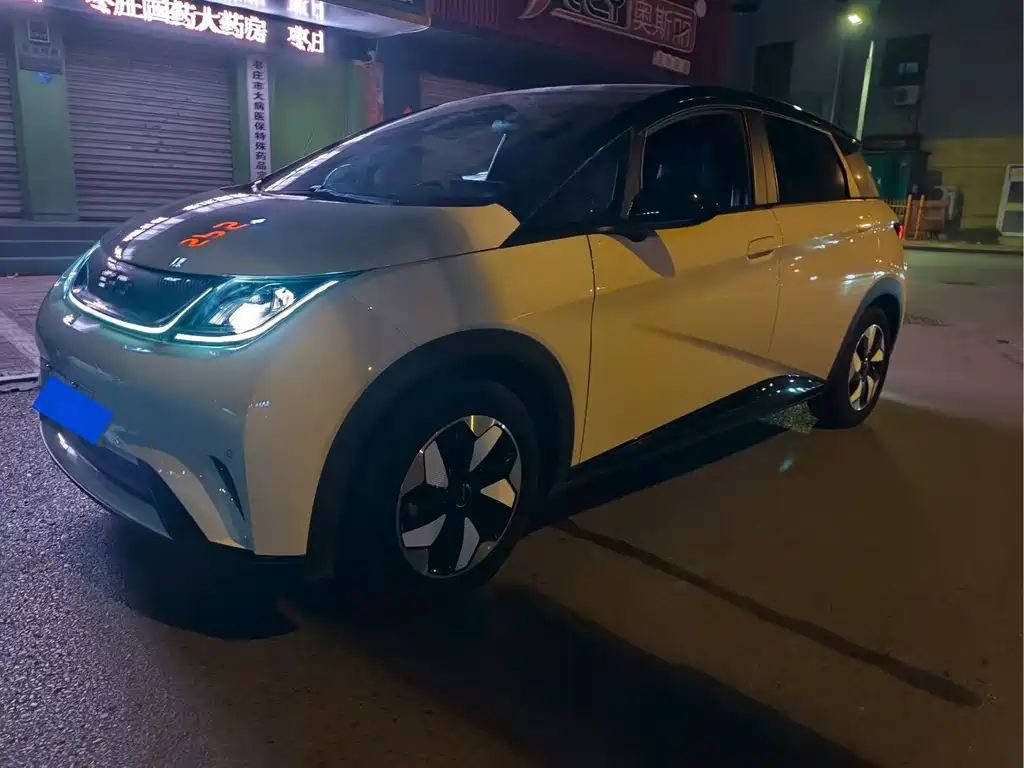 BYD Dolphin 2024
