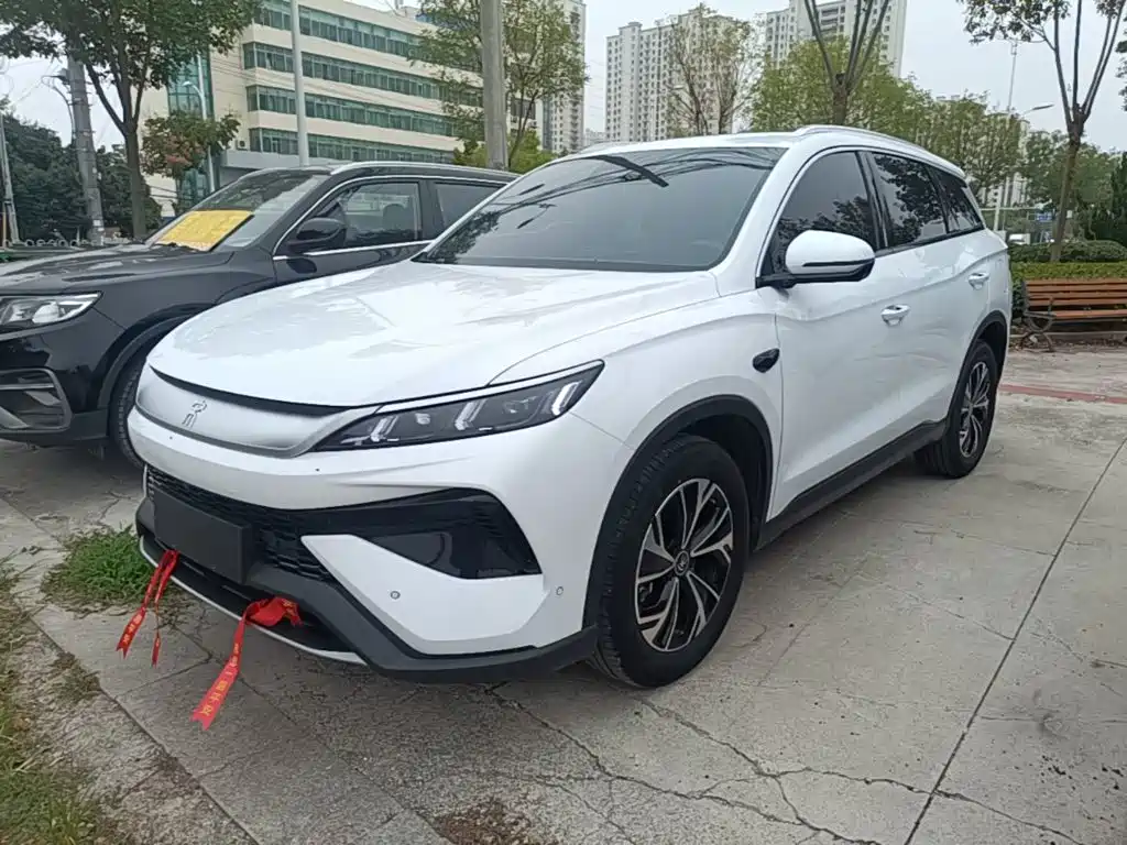 BYD Pro New Energy 2026