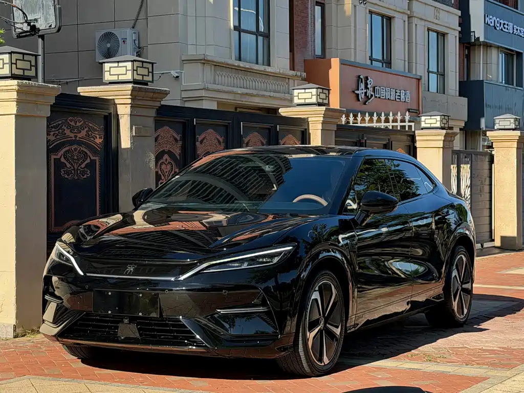 BYD L EV 2025