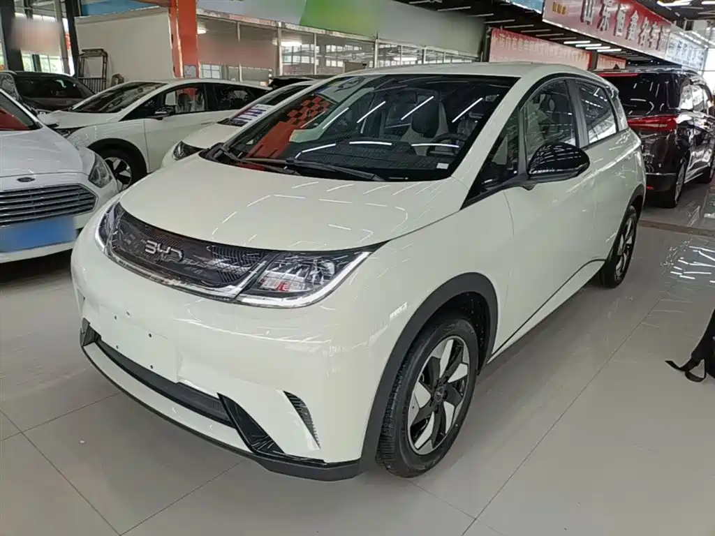 BYD Dolphin 2026