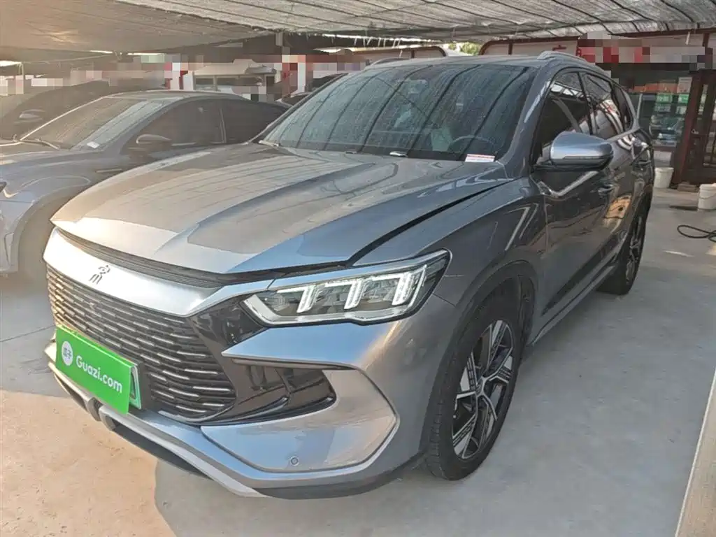 BYD Pro New Energy 2024