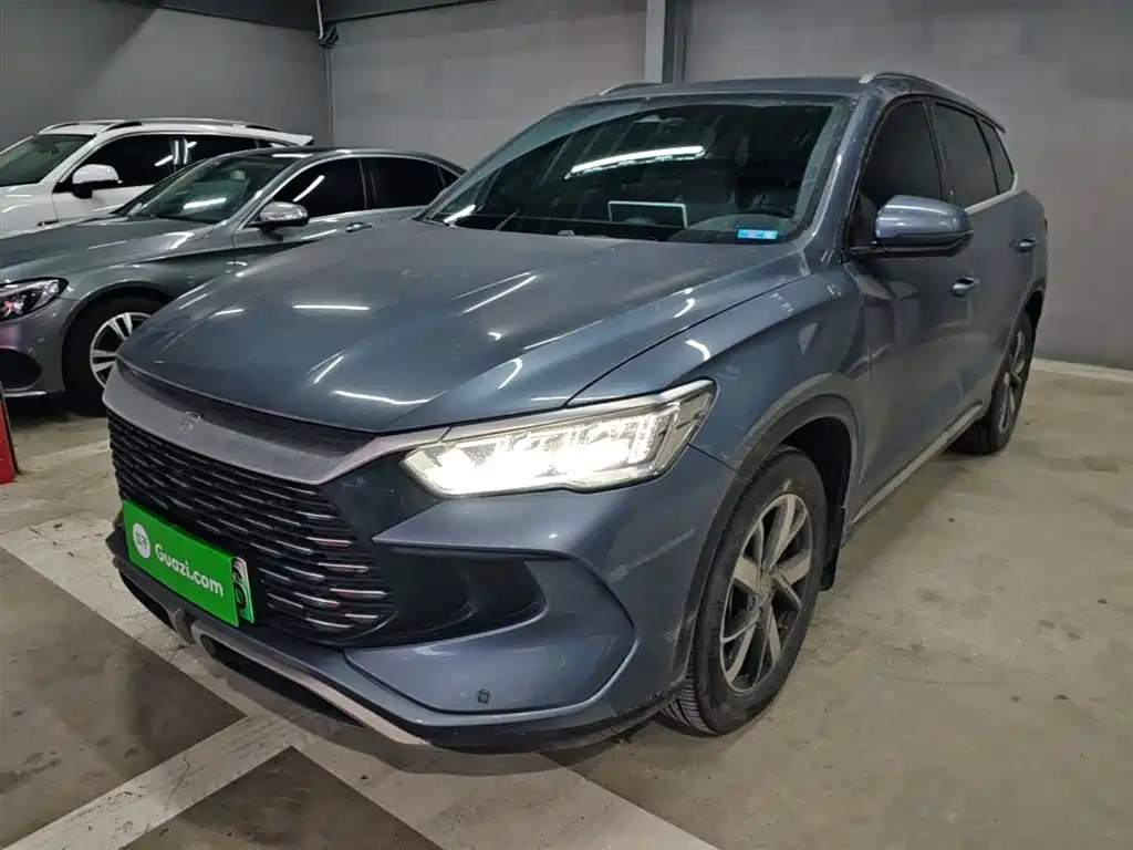 BYD Pro New Energy 2024