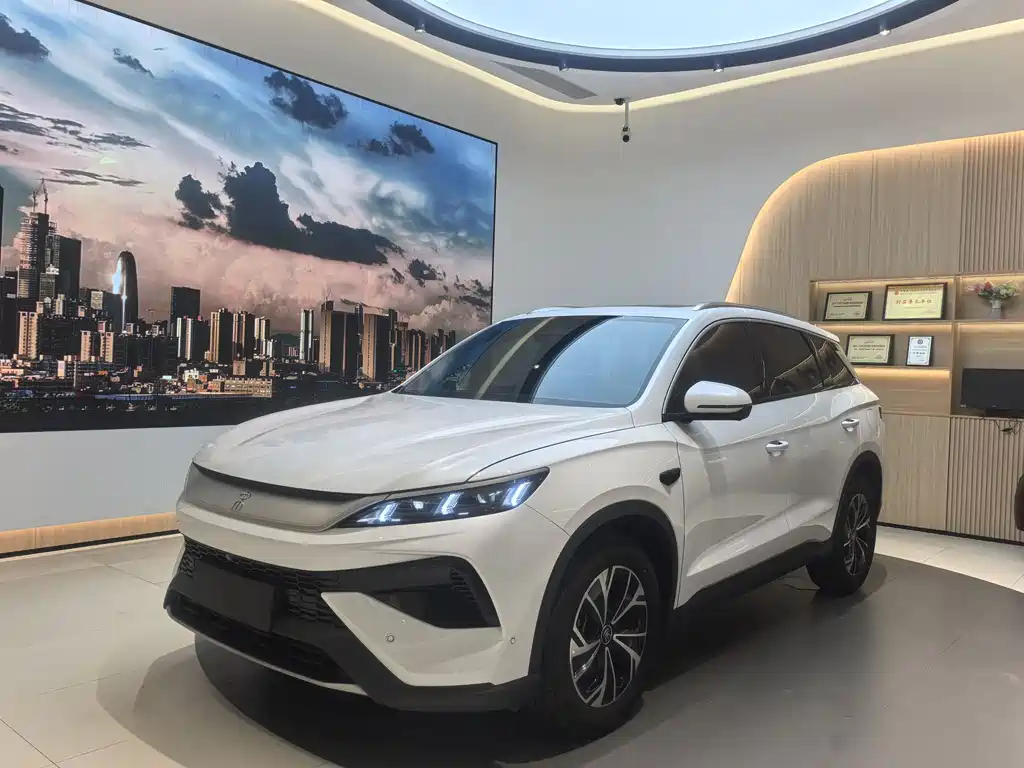 BYD Pro New Energy 2025