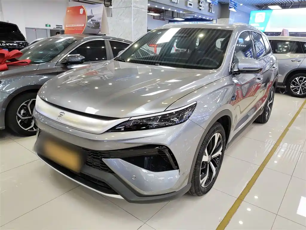 BYD Pro New Energy 2025