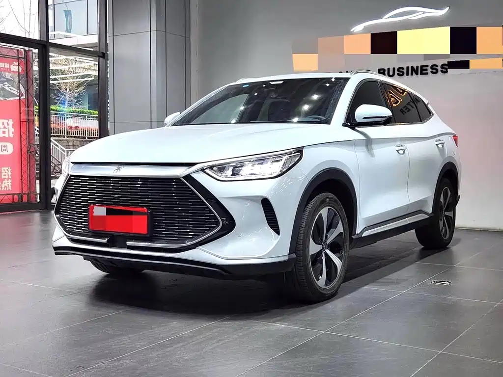 BYD PLUS New Energy 2022