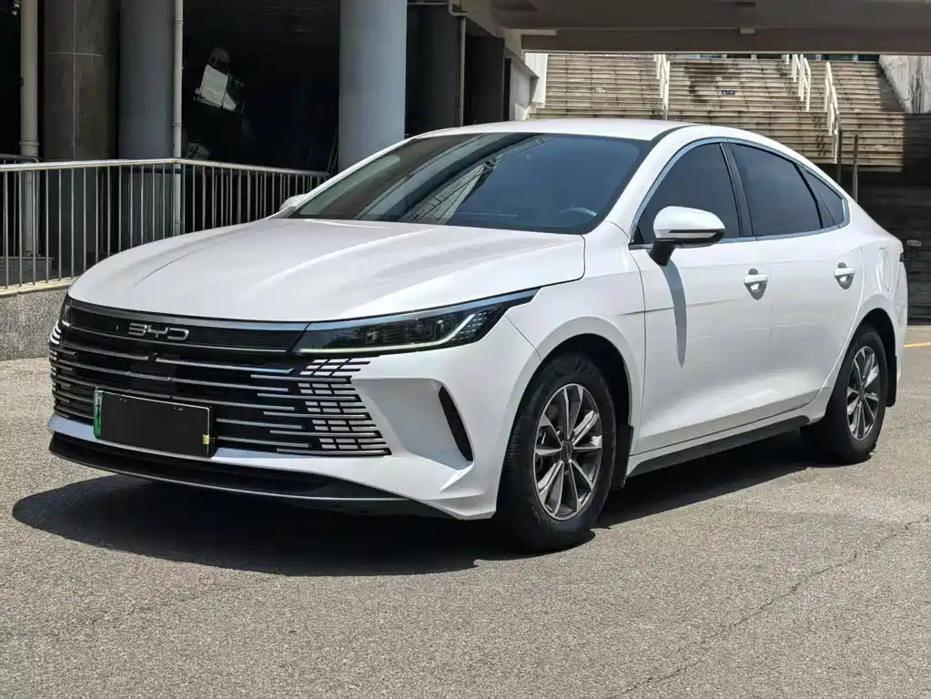 BYD Destroyer 05 2024