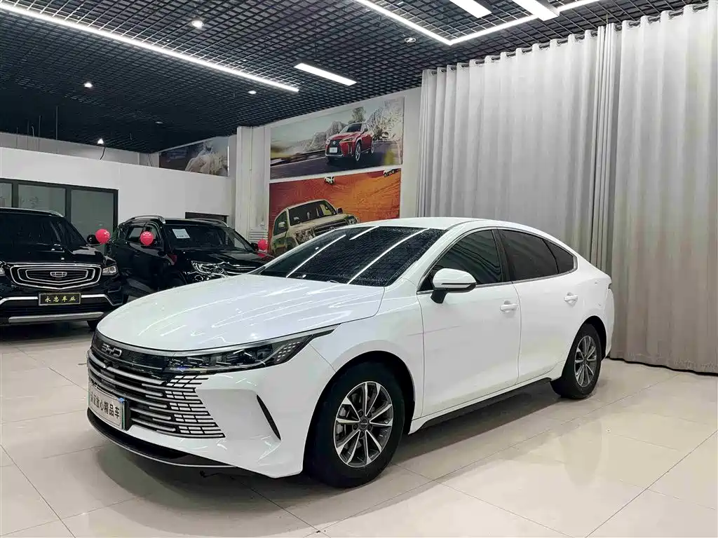 BYD Destroyer 05 2024