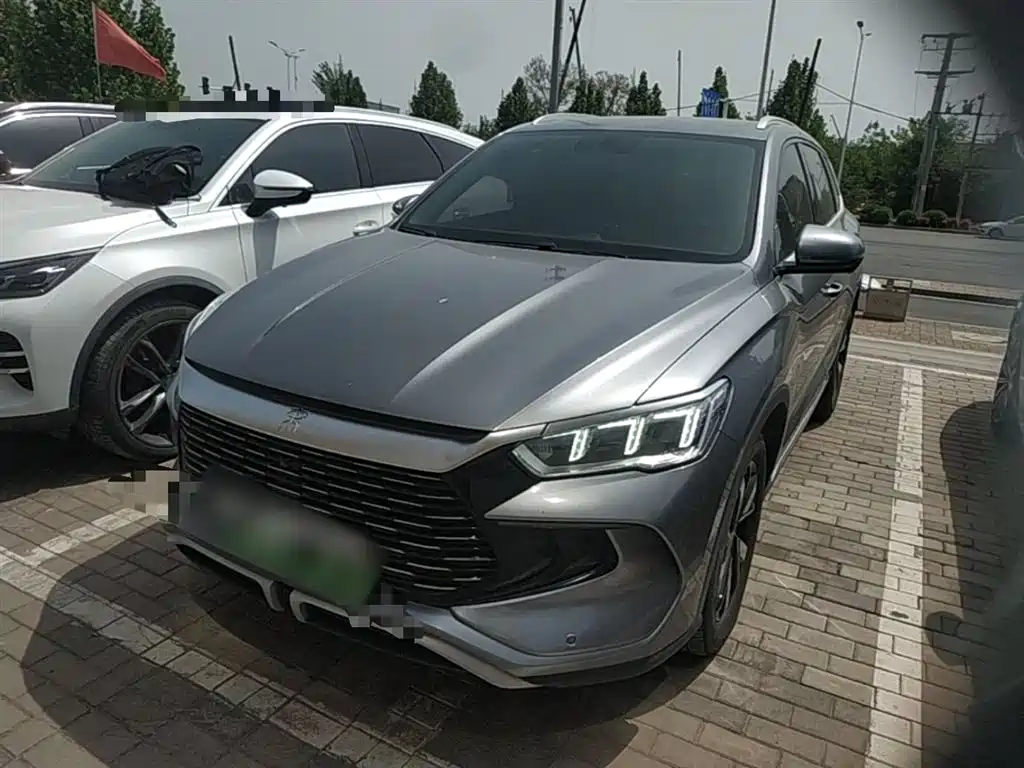 BYD Pro New Energy 2024