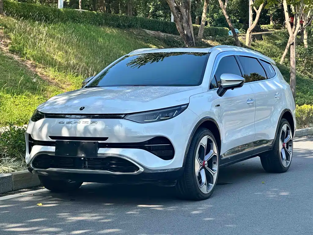 Denza Denza X 2020