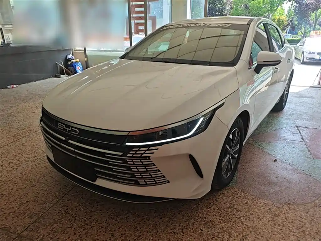 BYD Destroyer 05 2024