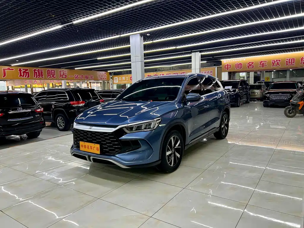BYD Pro New Energy 2024
