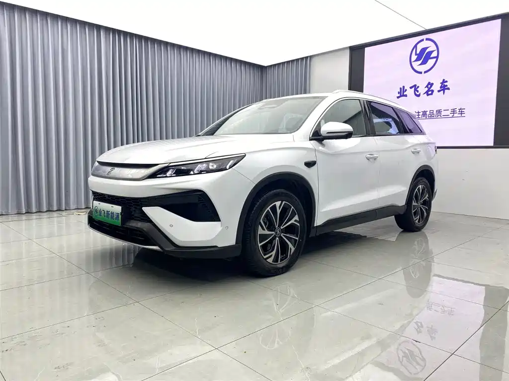 BYD Pro New Energy 2025