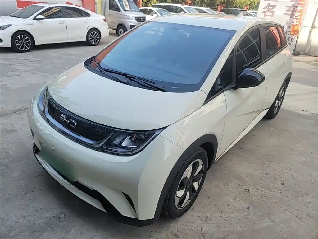 BYD Dolphin 2024