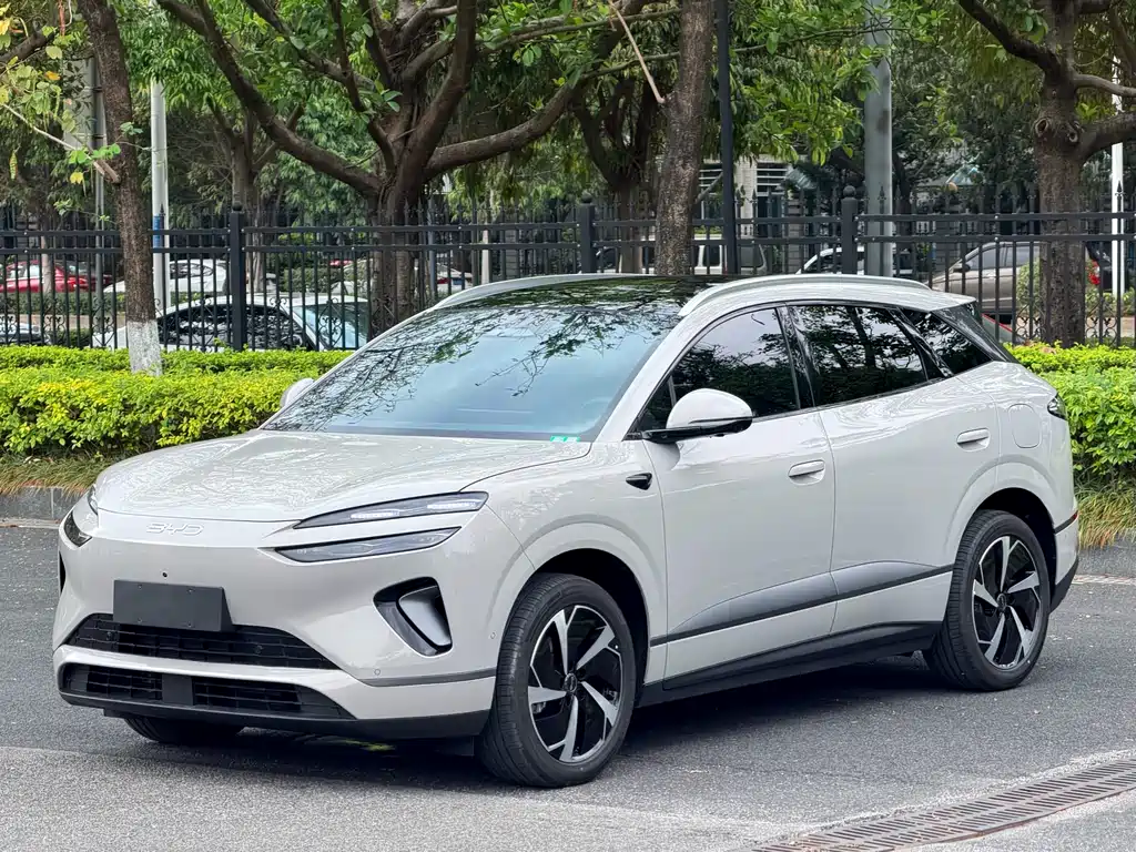 BYD 海狮06 2025