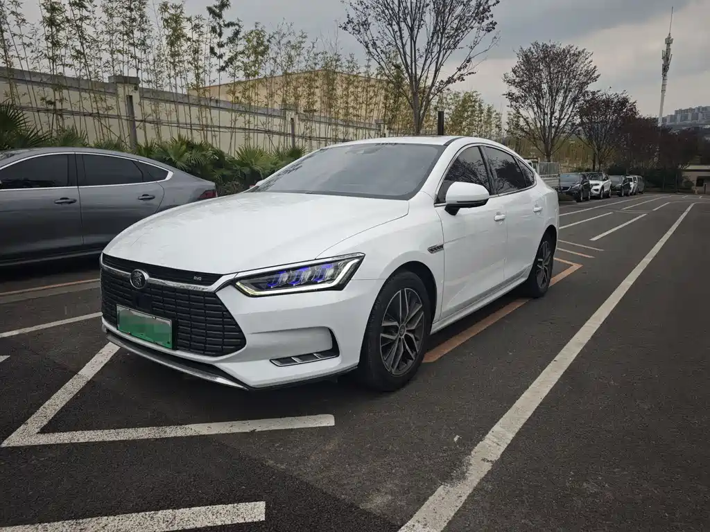 BYD Qin Pro NEV 2019