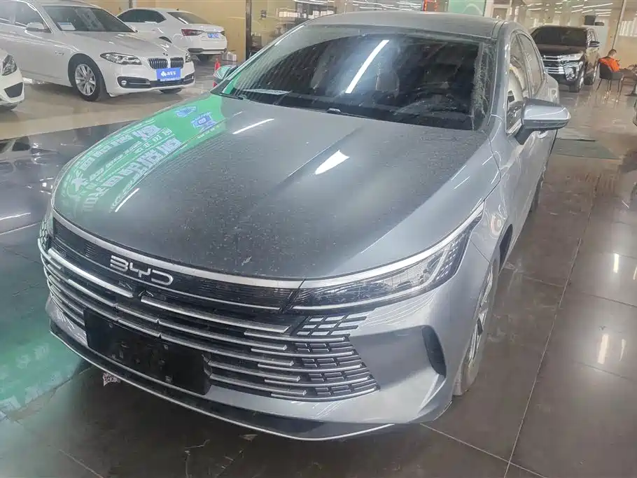 BYD Destroyer 05 2024