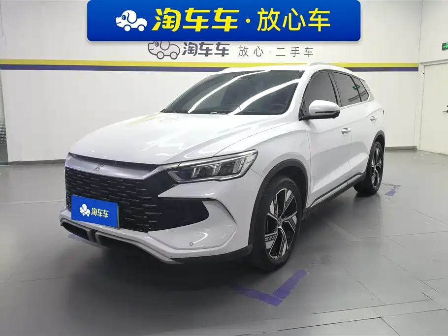 BYD Pro New Energy 2024