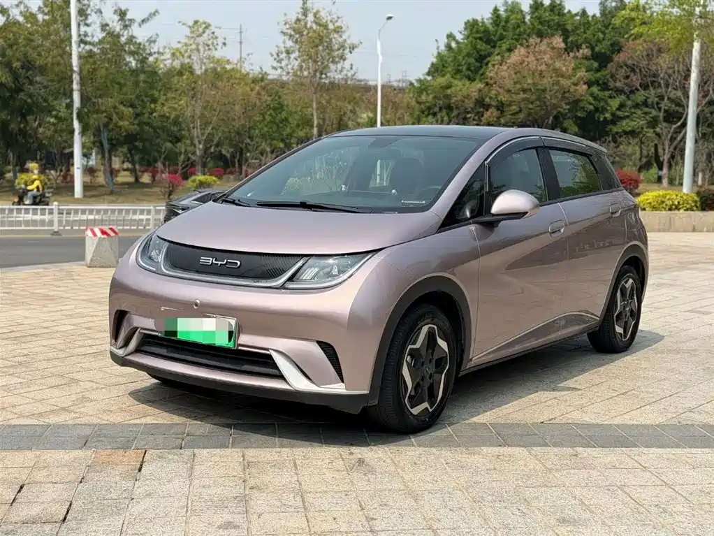 BYD Dolphin 2022