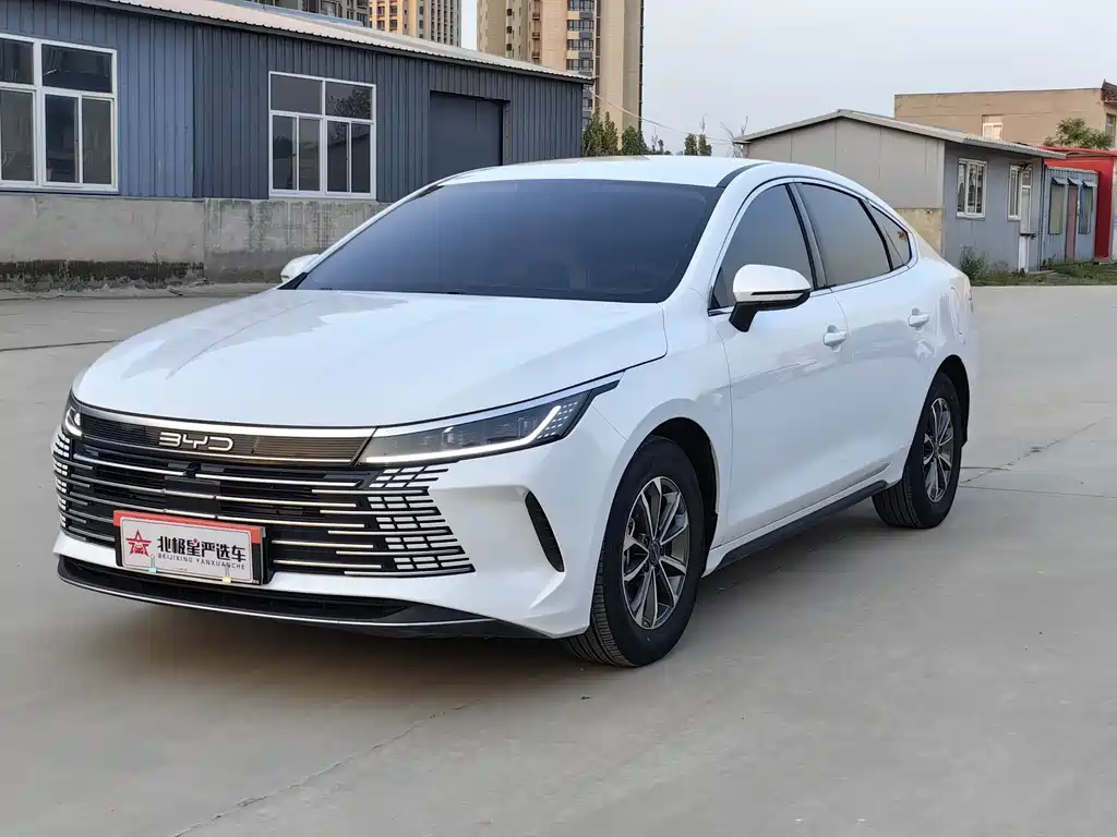 BYD Destroyer 05 2024