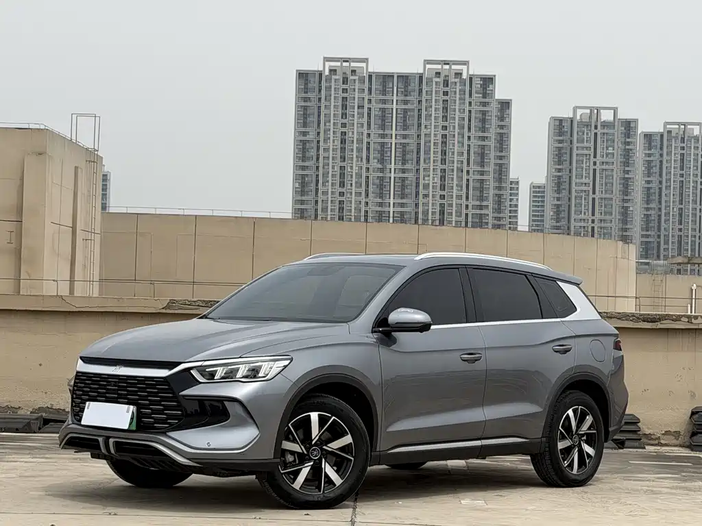 BYD Pro New Energy 2024