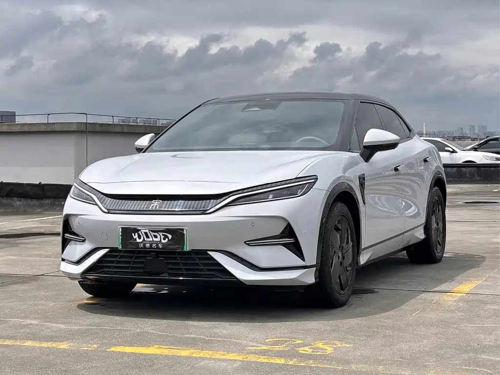 BYD L EV 2024