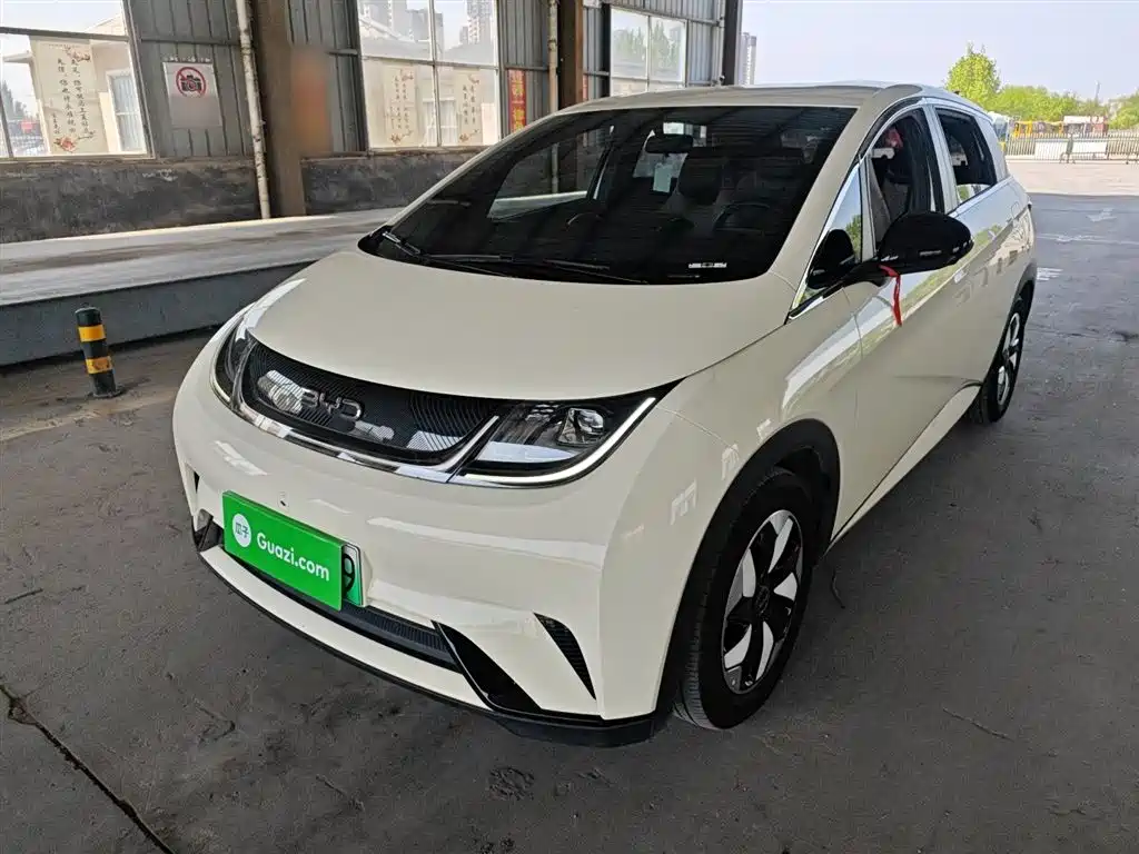 BYD Dolphin 2024