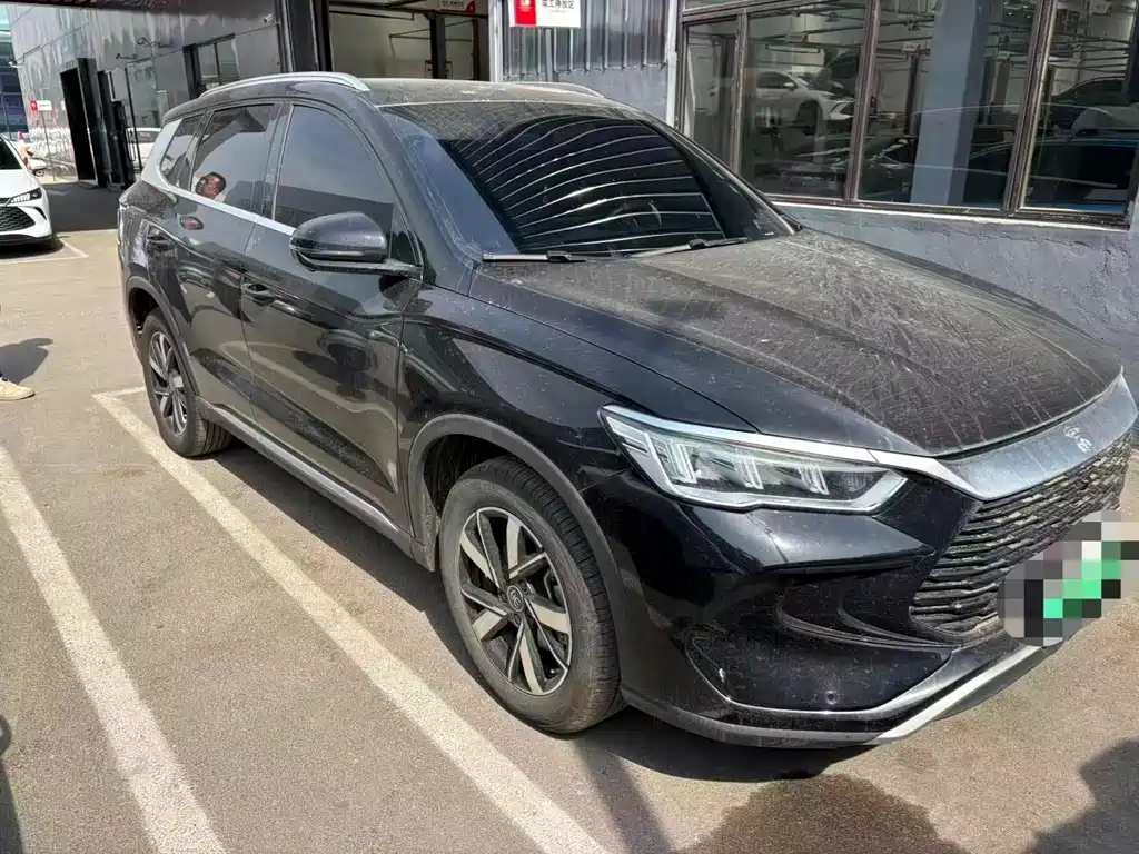 BYD Pro New Energy 2025
