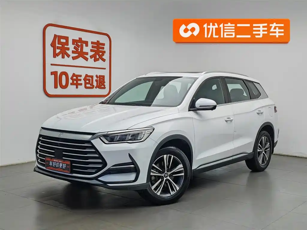 BYD Pro 2021
