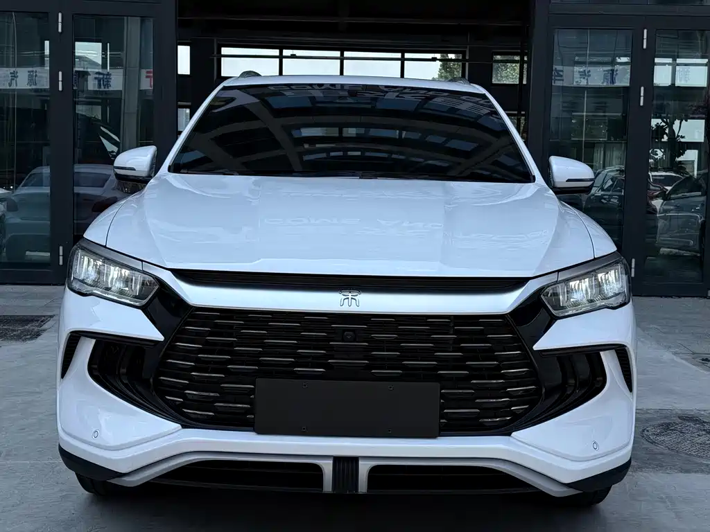 BYD Pro New Energy 2024