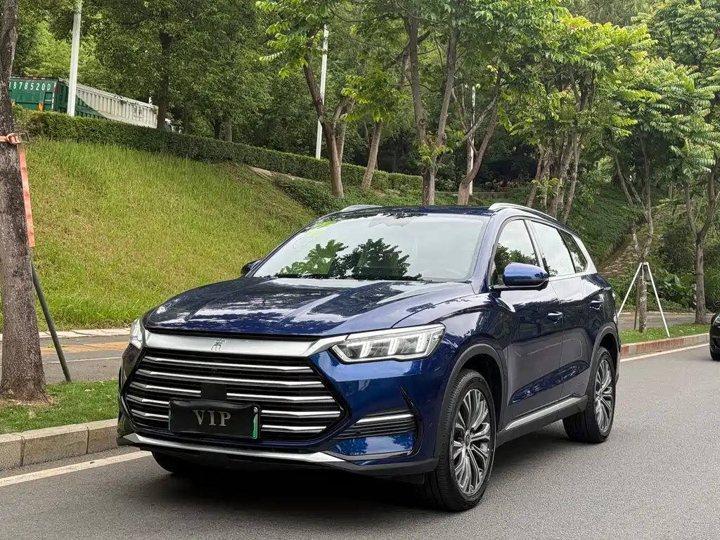 BYD Pro New Energy 2025