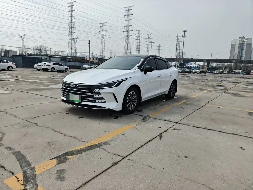 BYD Destroyer 05 2024