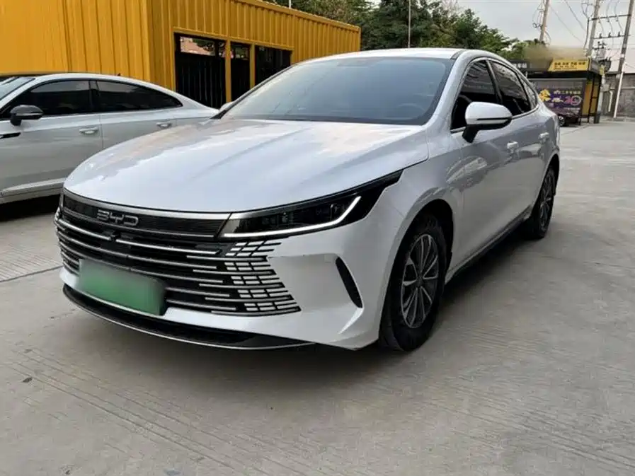 BYD Destroyer 05 2024