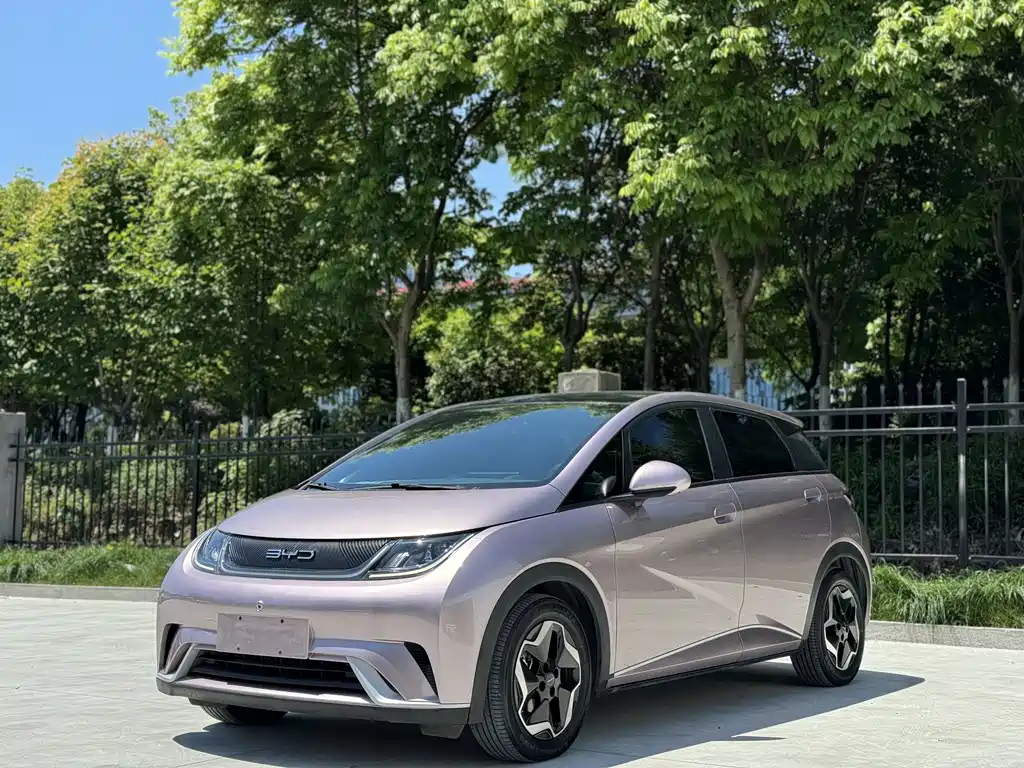 BYD Dolphin 2022