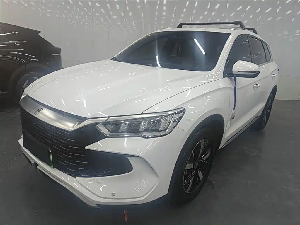 BYD Pro New Energy 2025