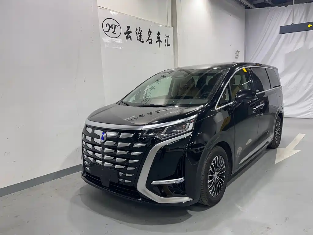 Denza Denza D9 2025
