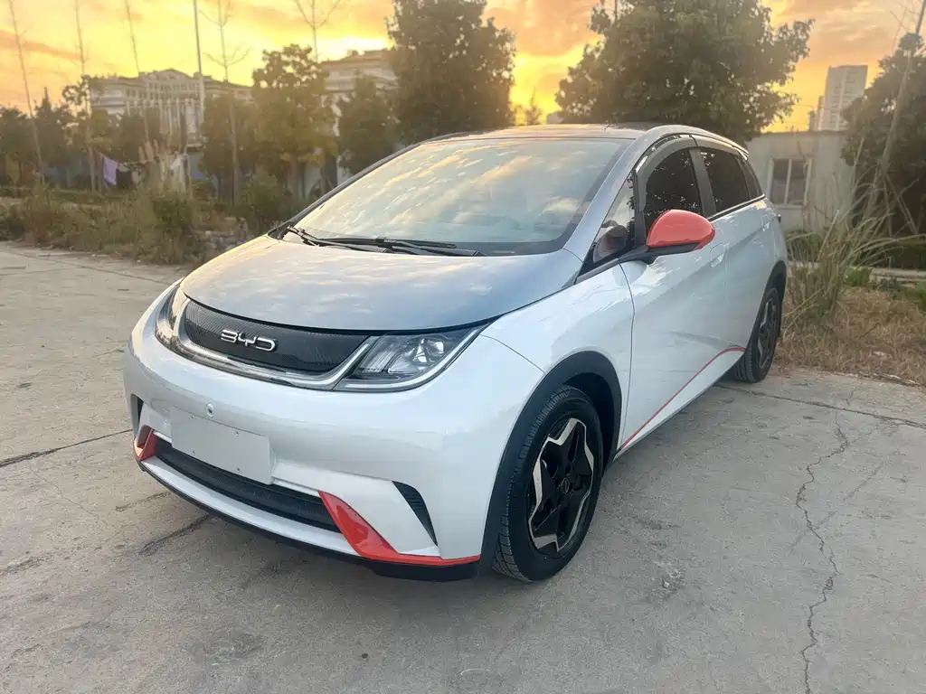 BYD Dolphin 2021