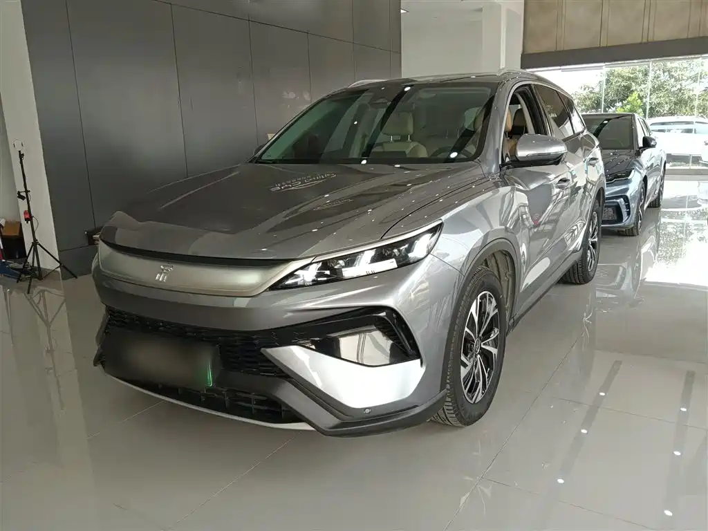 BYD Pro New Energy 2025
