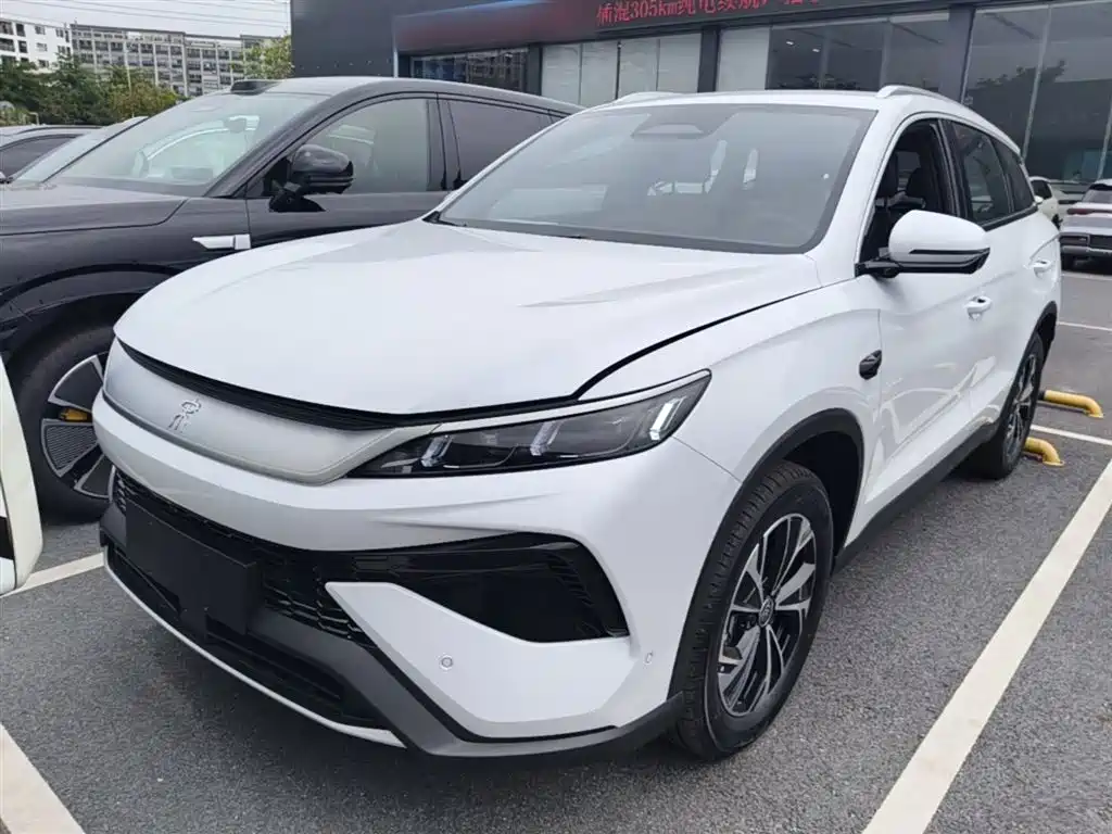 BYD Pro New Energy 2025
