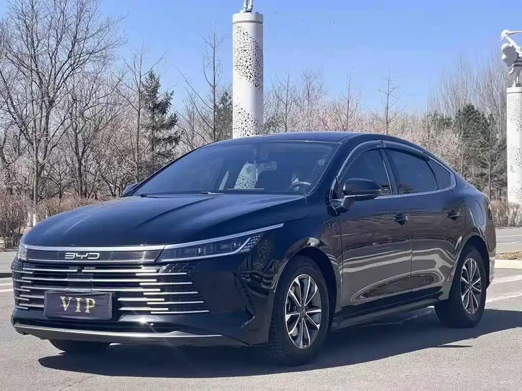 BYD Destroyer 05 2024
