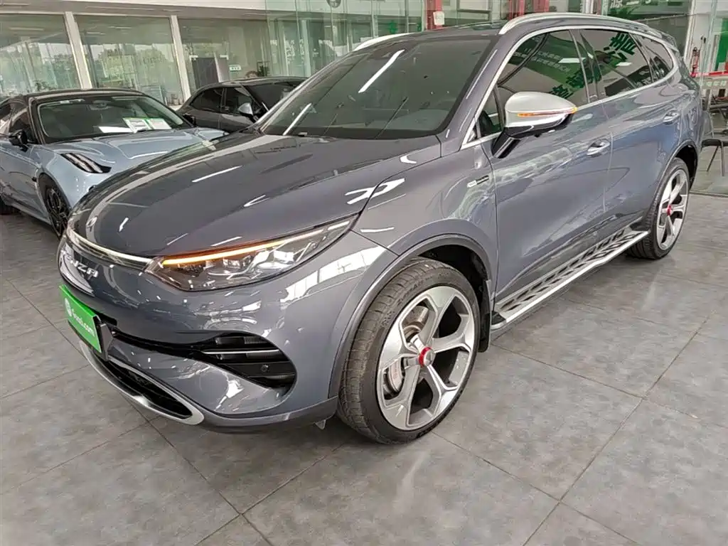 Denza Denza X 2021