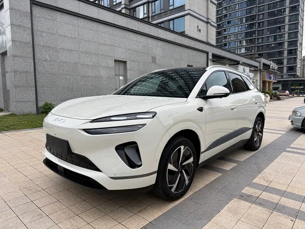 BYD 海狮06 2025